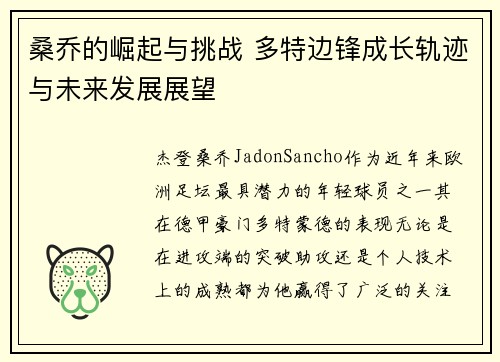 桑乔的崛起与挑战 多特边锋成长轨迹与未来发展展望