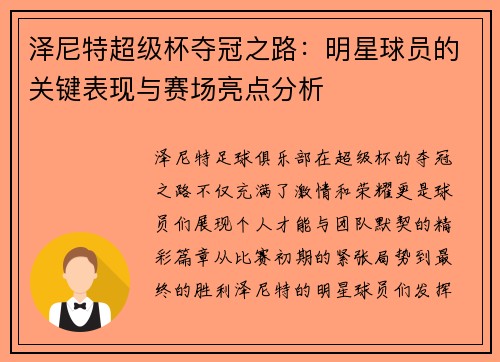 泽尼特超级杯夺冠之路:明星球员的关键表现与赛场亮点分析 泽尼特超级杯夺冠之路:明星球员的关键表现与赛场亮点分析
