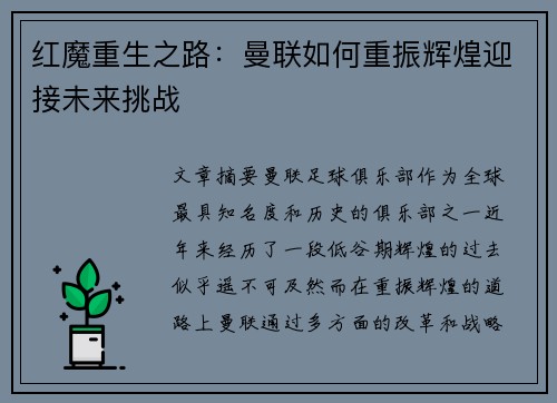 红魔重生之路：曼联如何重振辉煌迎接未来挑战